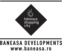 Logo of BANEASA DEVELOPMENTS SRL