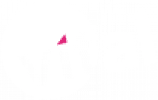 Logo of Vital