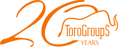 Logo of Toro Group S