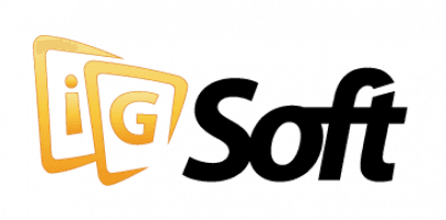 Logo of IG Soft ltd.