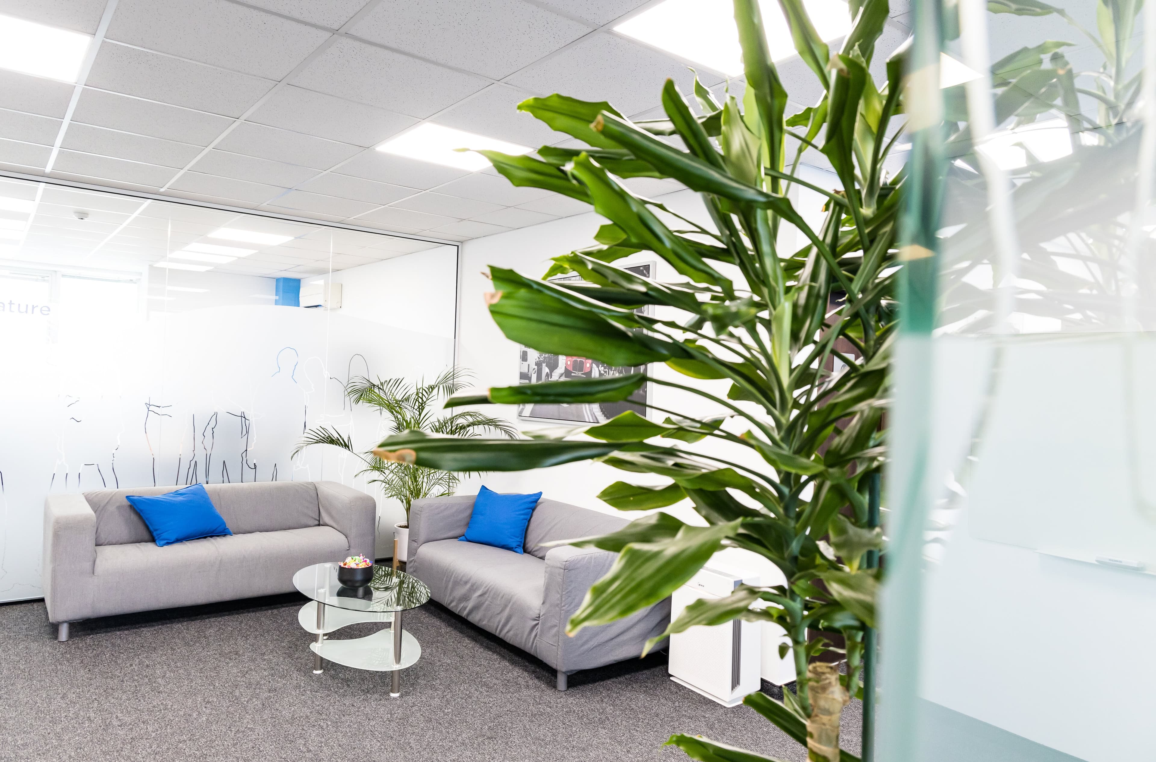 Company image 633d630791b0d_ALEX6418.jpg