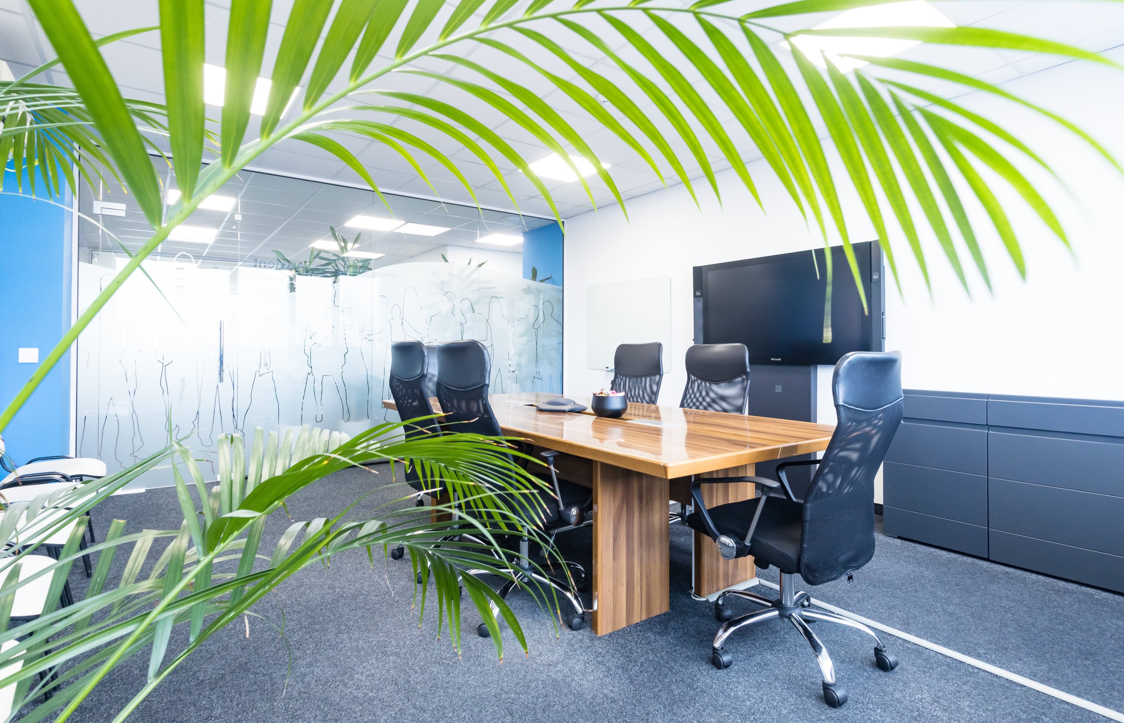 Company image 633d6307b0c2b_ALEX6285.jpg