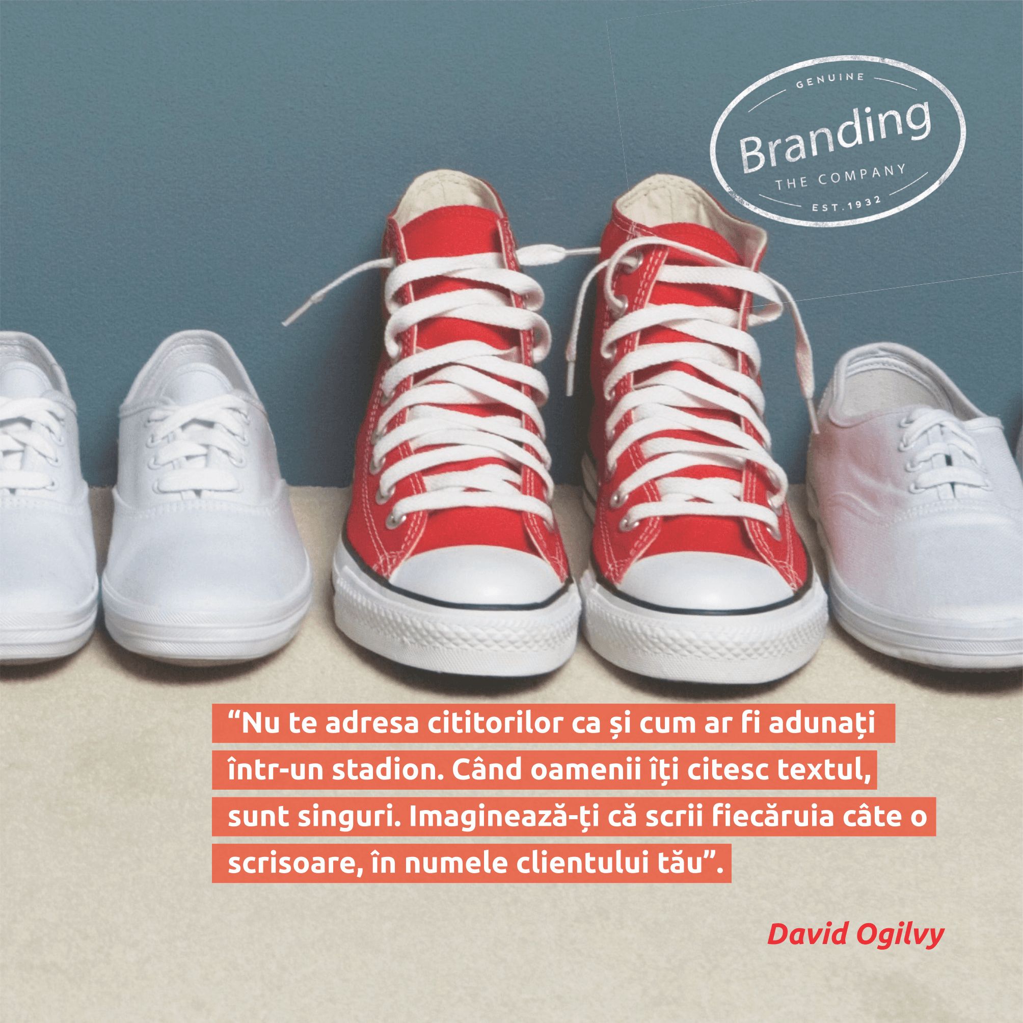 Company image 63f76b30ebd15_7.png
