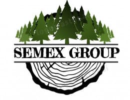 Logo of Semex Group
