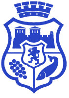 Logo of Municipality Vidin